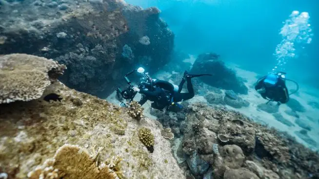 谈球吧海洋水下摄像头
